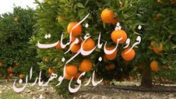 45-فروش باغ مرکبات ساری